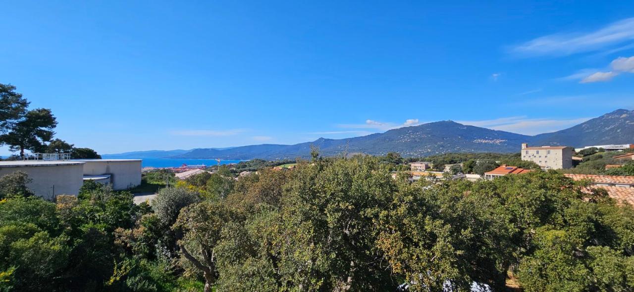 T3 Le Myrte Vue Mer & Montagne Idealement Situe Propriano  Εξωτερικό φωτογραφία